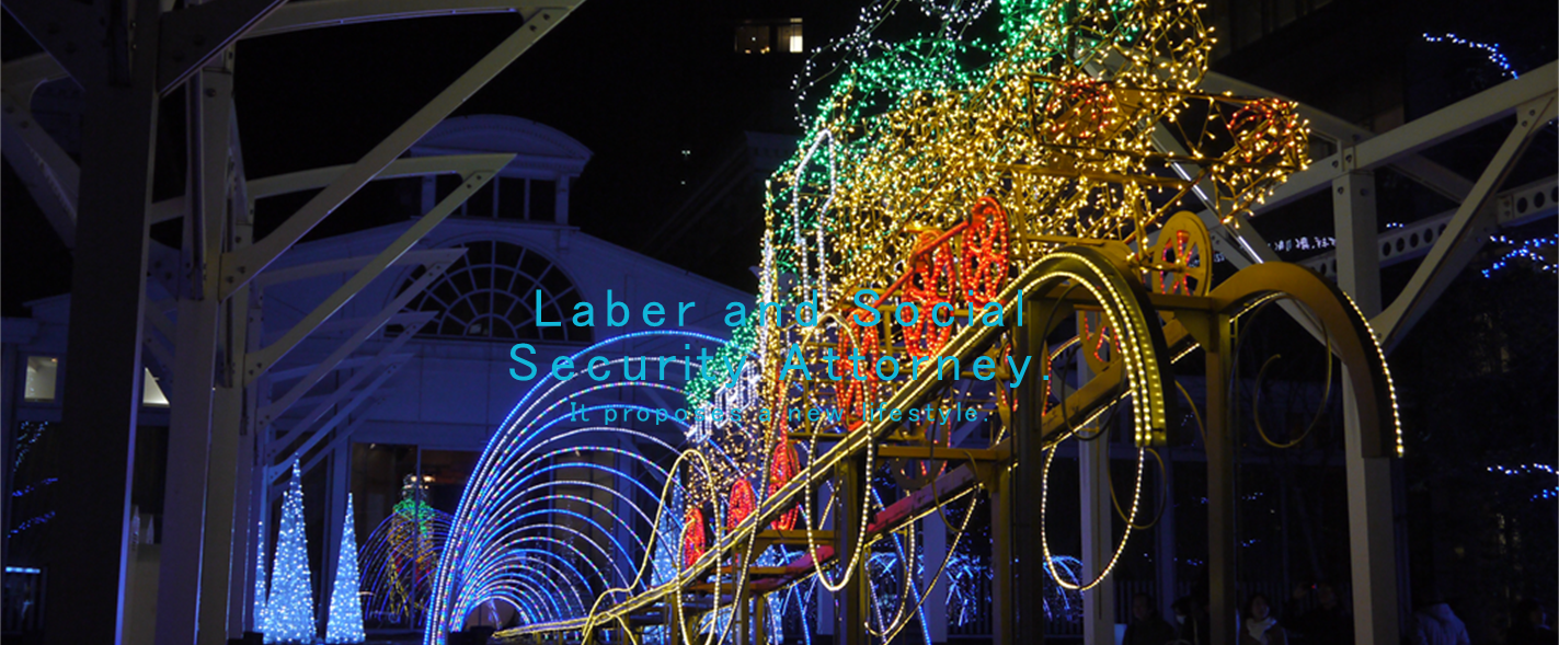 Labor and Social Security Attorney